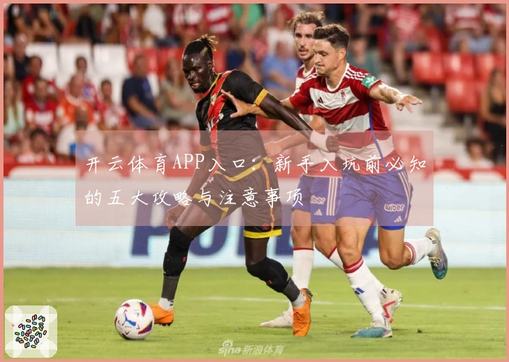 开云体育APP入口：新手入坑前必知的五大攻略与注意事项