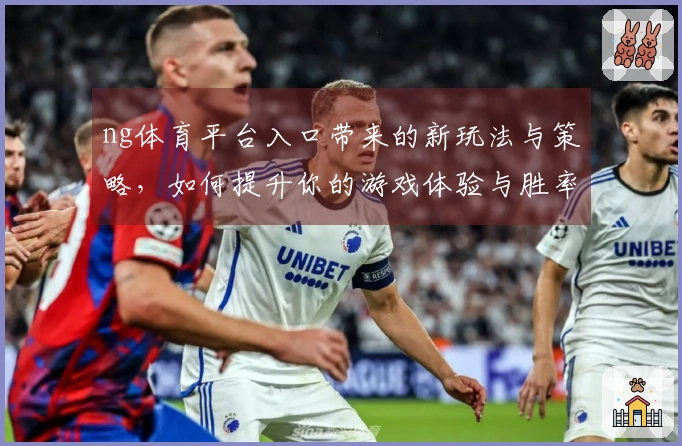 ng体育平台入口带来的新玩法与策略，如何提升你的游戏体验与胜率