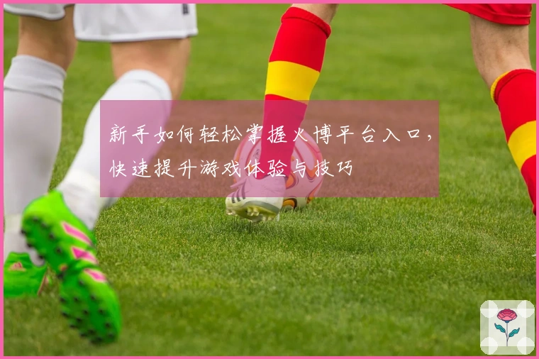新手如何轻松掌握火博平台入口，快速提升游戏体验与技巧