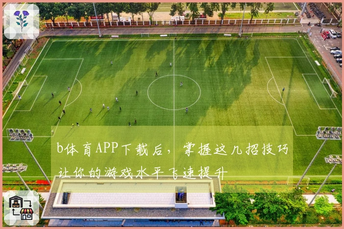 b体育APP下载后，掌握这几招技巧让你的游戏水平飞速提升