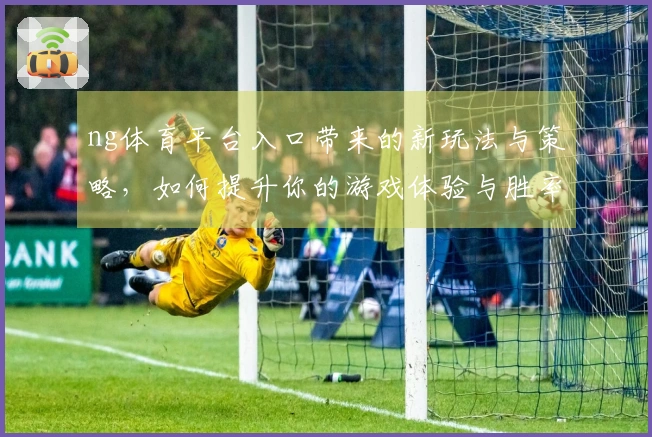 ng体育平台入口带来的新玩法与策略，如何提升你的游戏体验与胜率