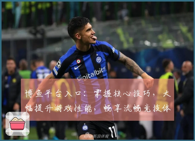 博鱼平台入口：掌握核心技巧，大幅提升游戏性能，畅享流畅竞技体验