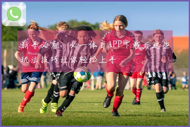 新手必看，必一体育APP下载后这些玩法技巧让你轻松上手